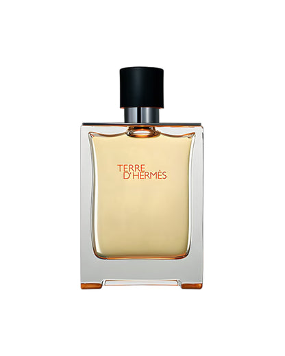Terre d'Hermès Hermès 100Ml for men