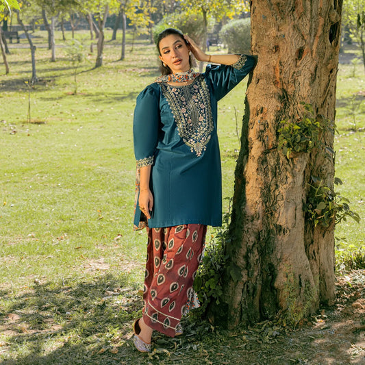 Luxury Dhanak Embroidered 3PC